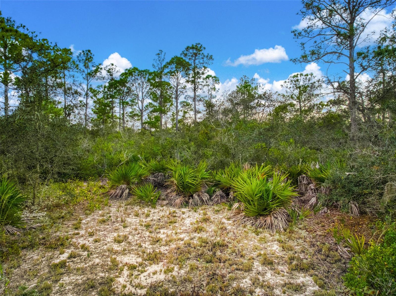 LEISURE LAKES SEC 17 - Land