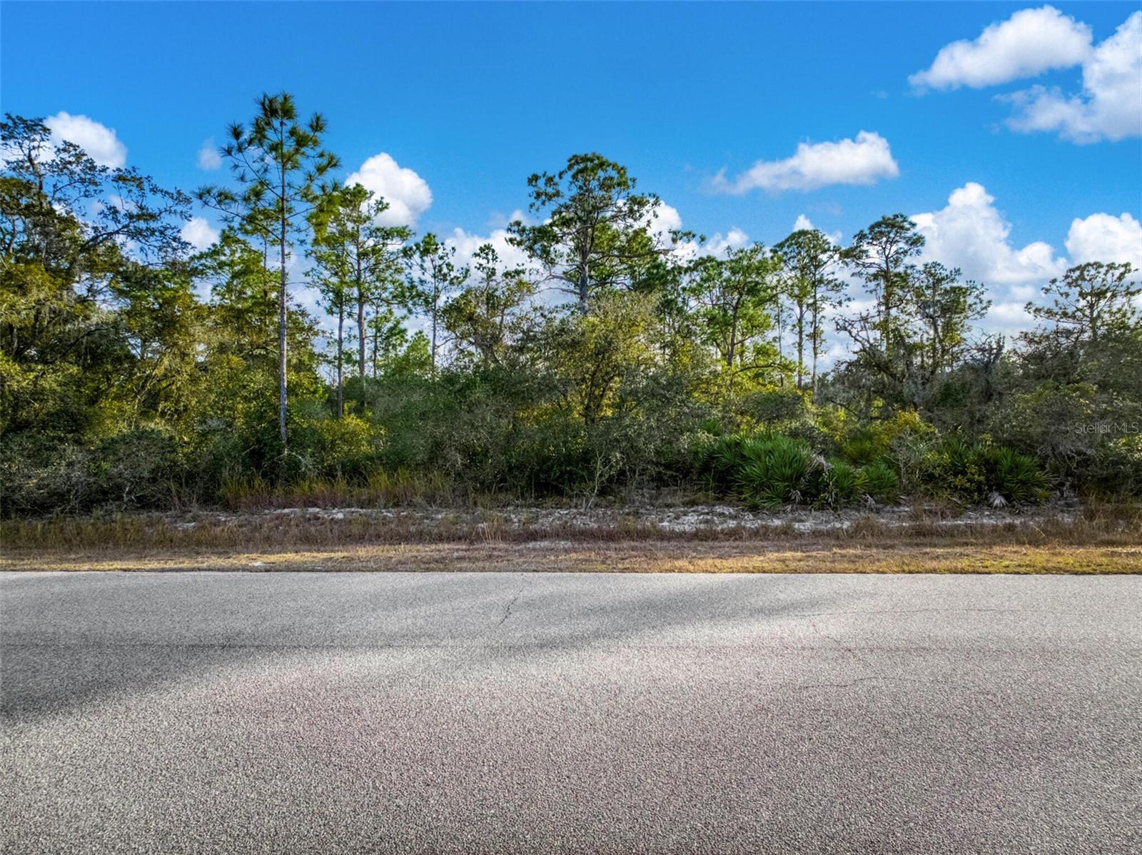 LEISURE LAKES SEC 17 - Land