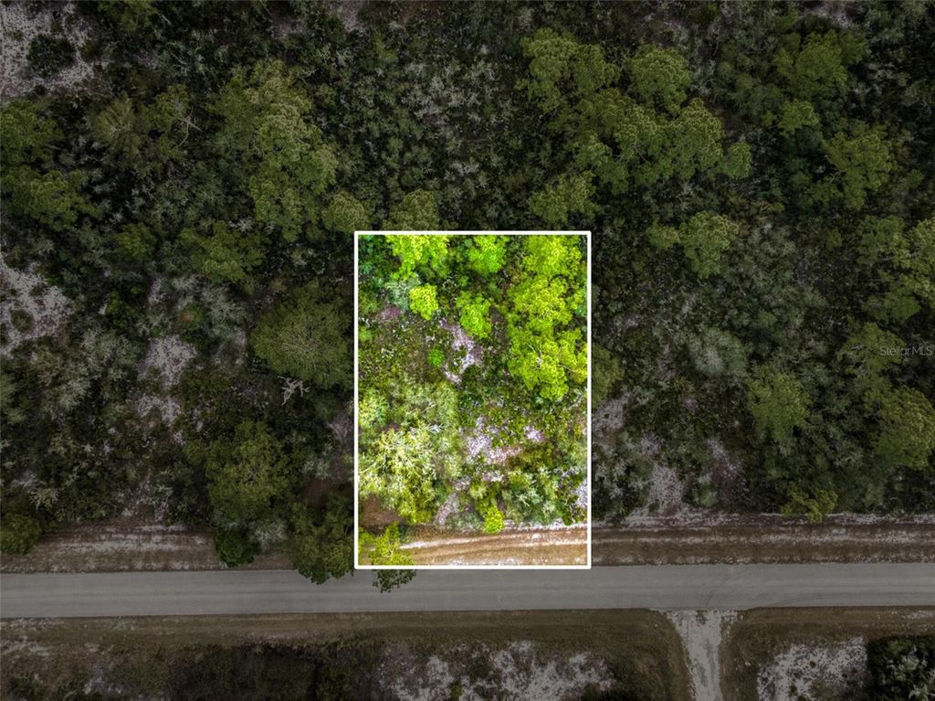 Photo of 3412 Bluebird Avenue, Lake Placid, FL 33852 (MLS # O6374393)