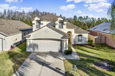Photo of 30609 Tremont Drive, Wesley Chapel, FL 33543 (MLS # TB8469565)
