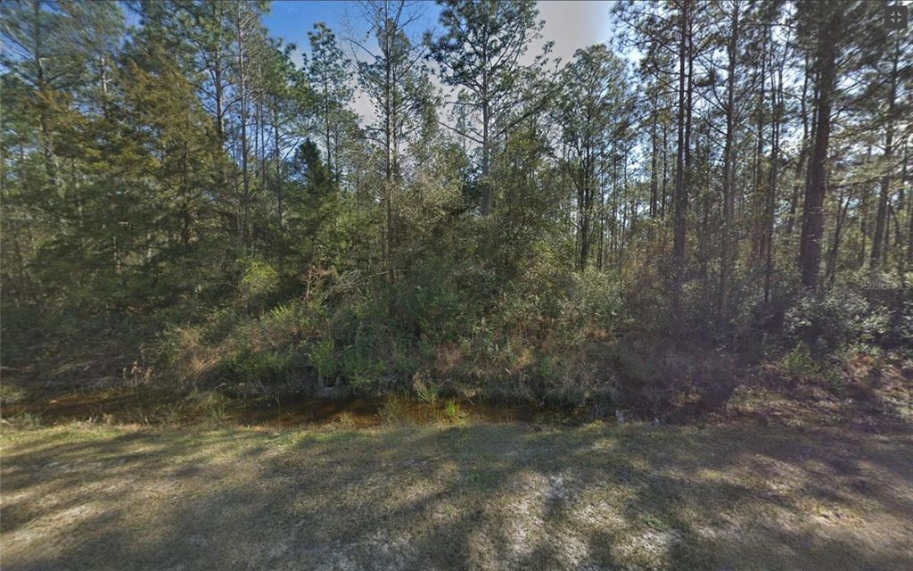 Photo of 10620 Delgado Avenue, Hastings, FL 32145 (MLS # TB8436504)