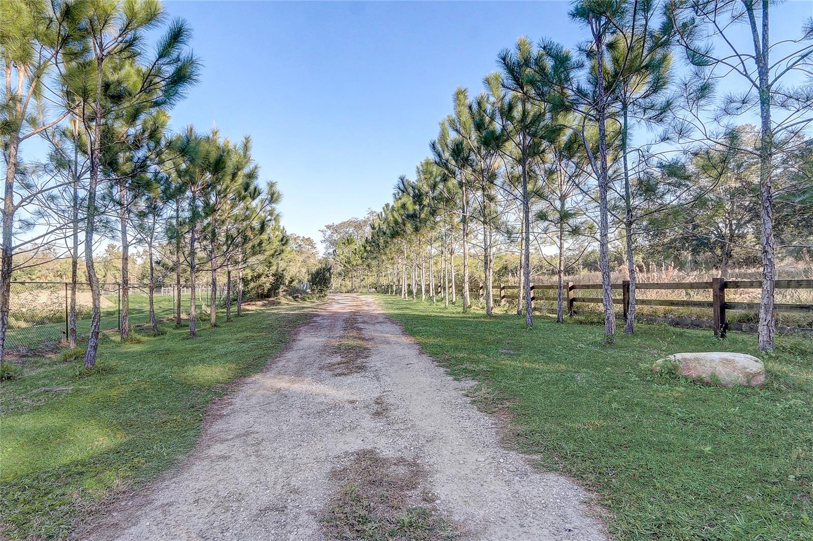 MULBERRY ACRES - Land
