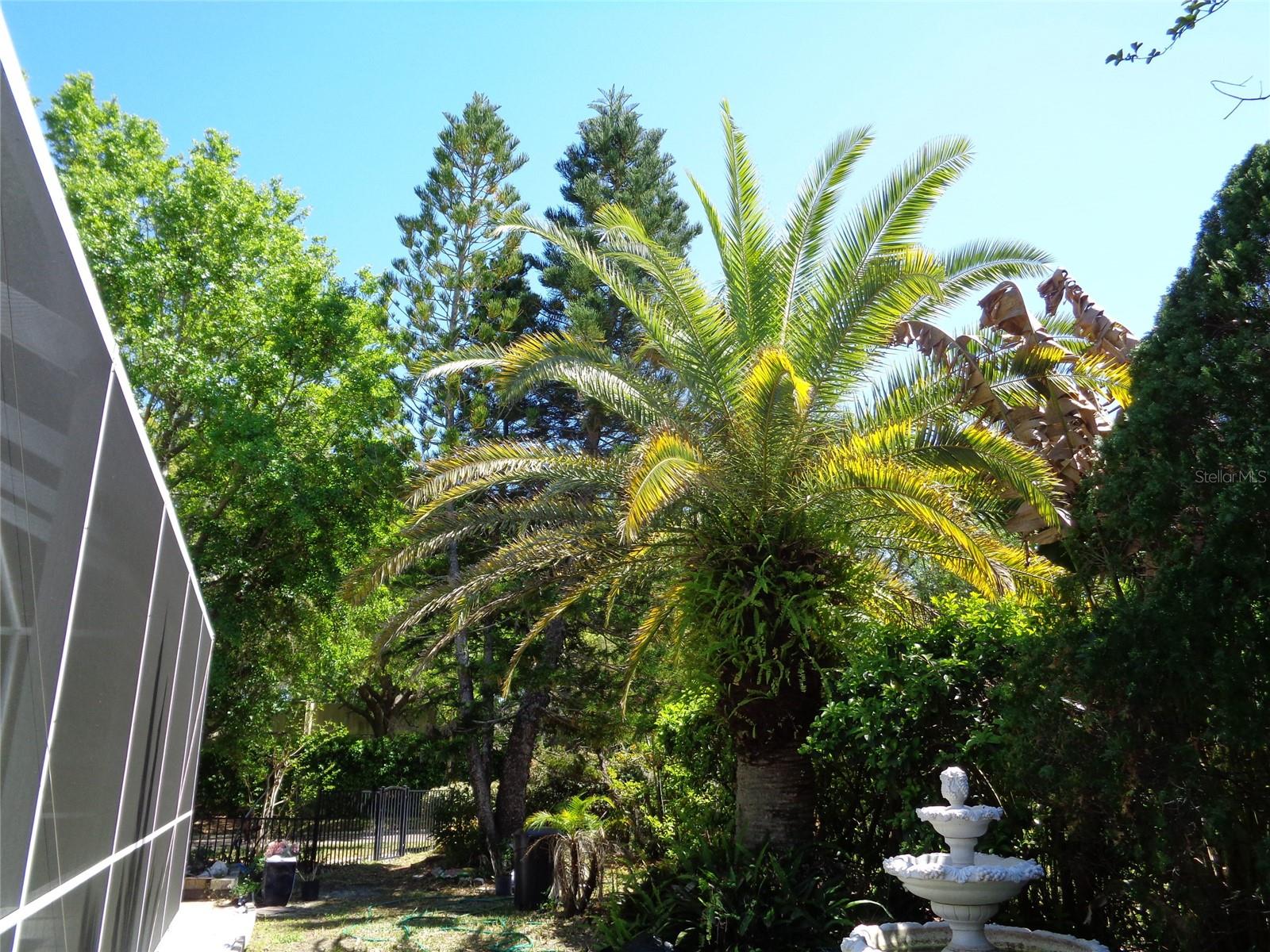 CHEVAL WEST VILLG THREE - Residential