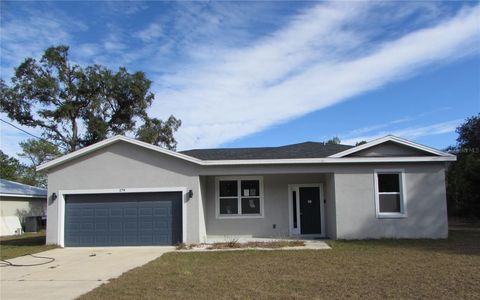 Photo of 179 Fisher Way Trail, Ocklawaha, FL 32179 (MLS # G5108031)