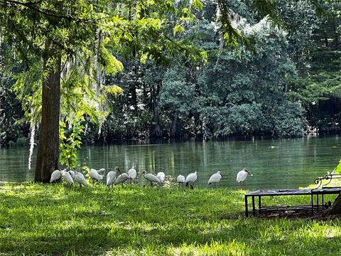 Tiny photo for 10801 SW 185th Terrace, Dunnellon, FL 34432 (MLS # TB8418268)