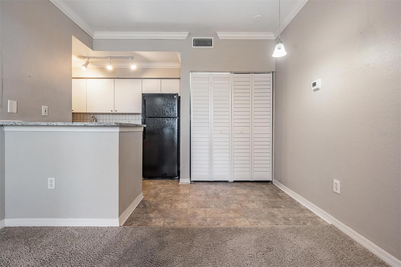 LAKE CHASE CONDO - Residential