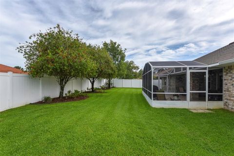 A home in PALM COAST