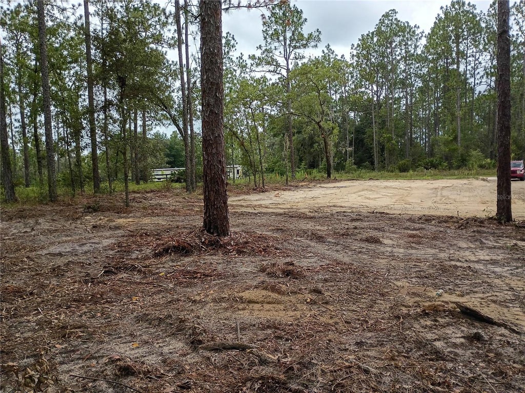 Photo of 16327 SW 24th Place, Ocala, FL 34481 (MLS # OM732575)