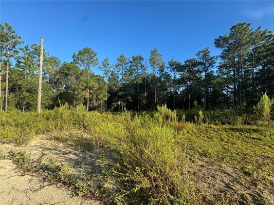 16327 SW 24TH PL, OCALA, FL 34481 - Image 74cfc4306e00fe97e5ec2b0ce774cf7f/2760902974