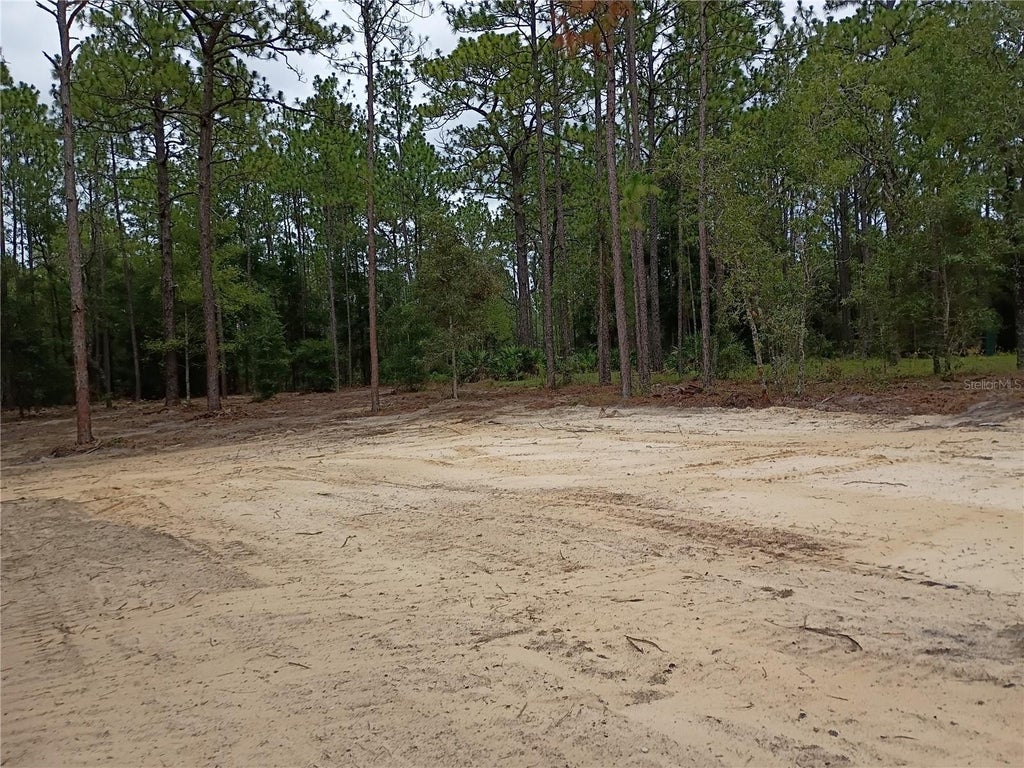 Photo of 16327 SW 24th Place, Ocala, FL 34481 (MLS # OM732575)