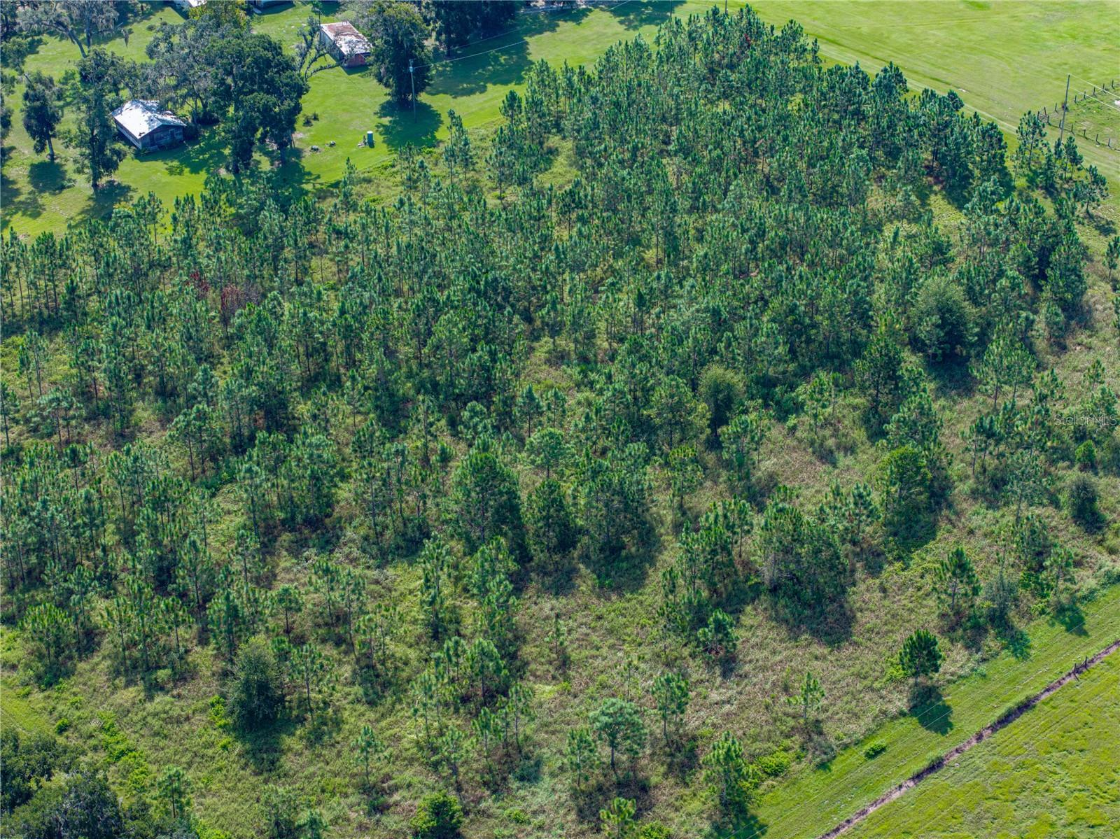 ACREAGE - Residential