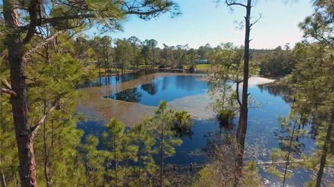 Tiny photo for 32325 State Road 44, Eustis, FL 32736 (MLS # S5144040)