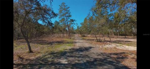 Tiny photo for 32325 State Road 44, Eustis, FL 32736 (MLS # S5144040)