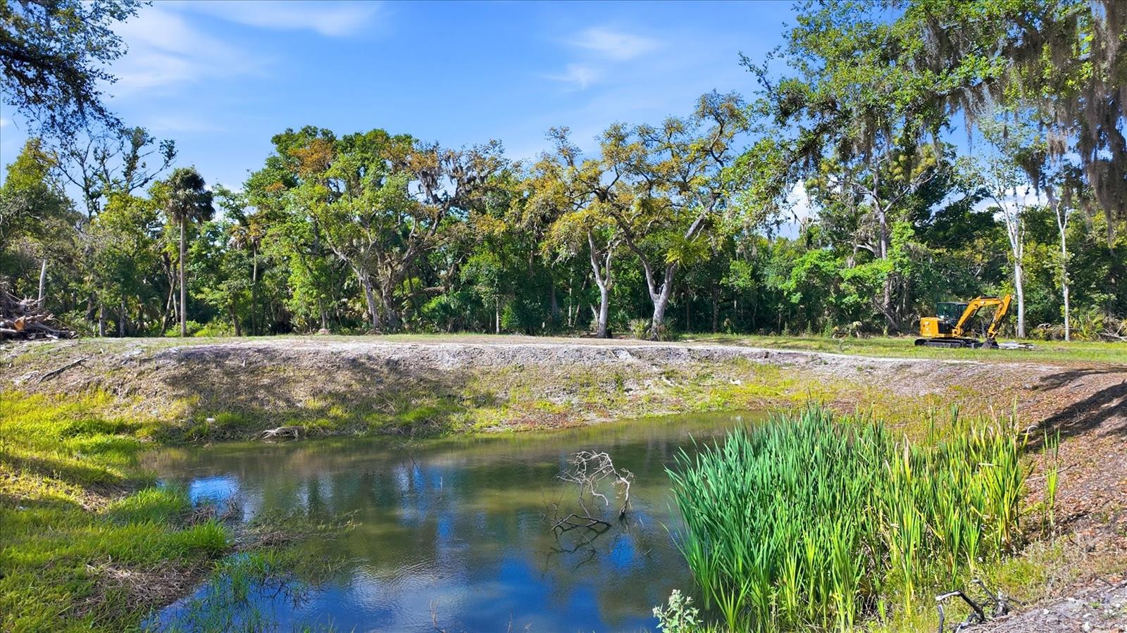 MYAKKA VALLEY RANCHES - Residential
