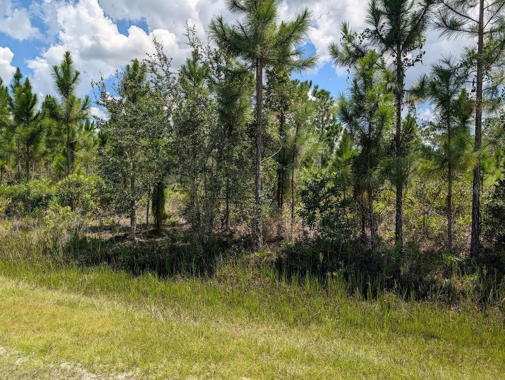 Photo of 311 Hibiscus Drive, Indian Lake Estates, FL 33855 (MLS # TB8417626)