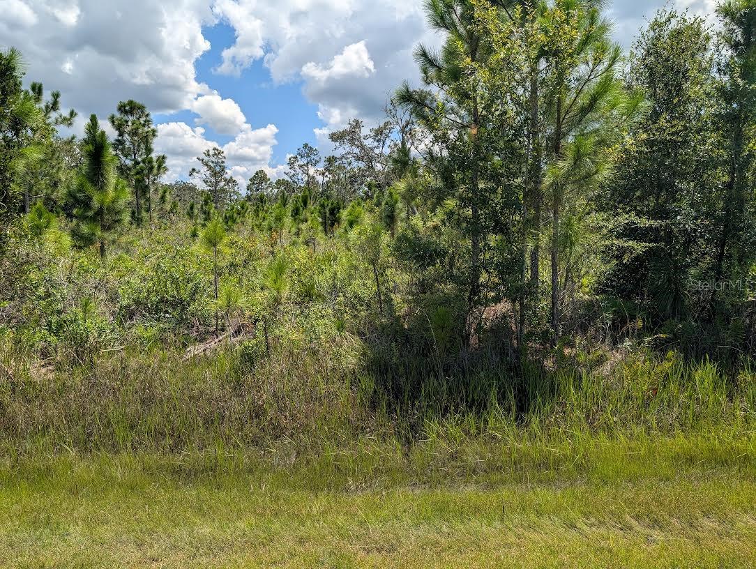 Come build your forever home on this ACRE LOT located in the lake community of Indian Lake Estates, a golfing, fishing and boating community in the center of Florida. Indian Lake Estates is about 20 miles east of Lake Wales. The community surrounds the 7,500 acre lake locally known as Lake Walk In Water, nationally known for its fishing and considered to be one of the best bass fishing lakes in all Florida. The lake has a beach, boat ramp, boat marina and the longest freshwater Fishing pier in the State of Florida. The pavilion is located at the front of the pier and is complete with propane grills and covered picnic tables. The community amenities include an 18-hole golf course, basketball and tennis courts, 23, 000 sq.ft. clubhouse, cafe, post office, churches, library, fitness room and pro shop. If you love nature and the peace and quiet of the country you're in luck. Wildlife is plentiful! You will see deer, raccoon, turkey, turtles, cranes and various species of birds that call Indian Lake Estates their home. Orlando and Disney is only about an hour's drive north and Tampa, Busch Gardens, and the Gulf's pristine beaches only a little over an hour west. Historic Bok Tower, a National Landmark, is in nearby Lake Wales. The Westgate River Ranch Resort and Rodeo is just six miles away. An authentic Florida dude ranch and full-service resort offering guests the opportunity to experience "Old Florida." Encompassing 1,700 beautiful acres, Westgate River Ranch features horseback riding, wildlife airboat and swamp buggy rides, Saturday night championship rodeo, trap/skeet range, nature hikes, petting farm, marina, Adventure Park with zip line and rock climbing wall, Westgate Smokehouse Grill and River Ranch Saloon and much more. Cowboy-themed accommodations range from ranch-themed lodge guestrooms and deluxe lodge suites to spacious cottages, two-bedroom cabins, Glamping and Luxe Teepees. Come out and see how great life can be at Indian Lake Estates! Polk County's best kept secret!