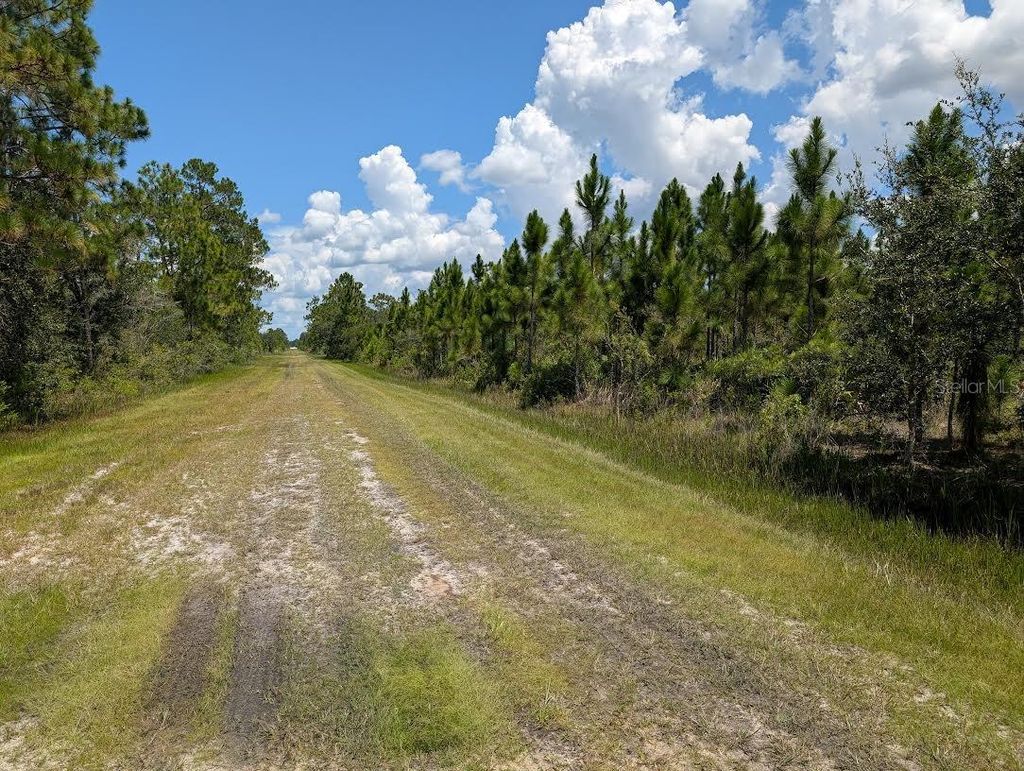 Photo of 311 Hibiscus Drive, Indian Lake Estates, FL 33855 (MLS # TB8417626)