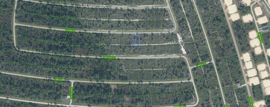 Great investment opportunity! Buildable lot!