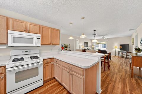 Tiny photo for 1088 Gennesse Lane, The Villages, FL 32162 (MLS # O6395404)