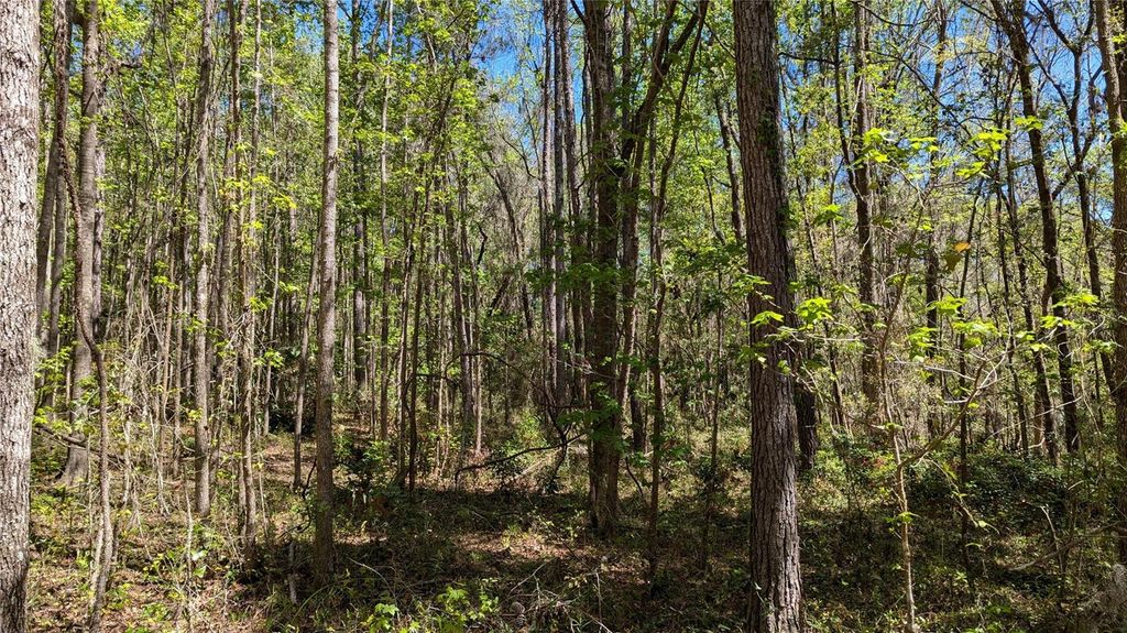 Photo of 00 NW 35th Avenue, Gainesville, FL 32606 (MLS # GC529262)