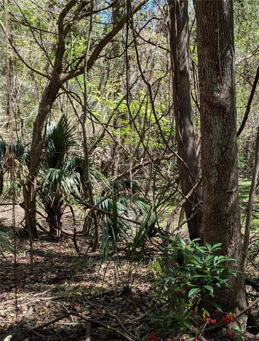 Photo of 00 NW 35th Avenue, Gainesville, FL 32606 (MLS # GC529262)