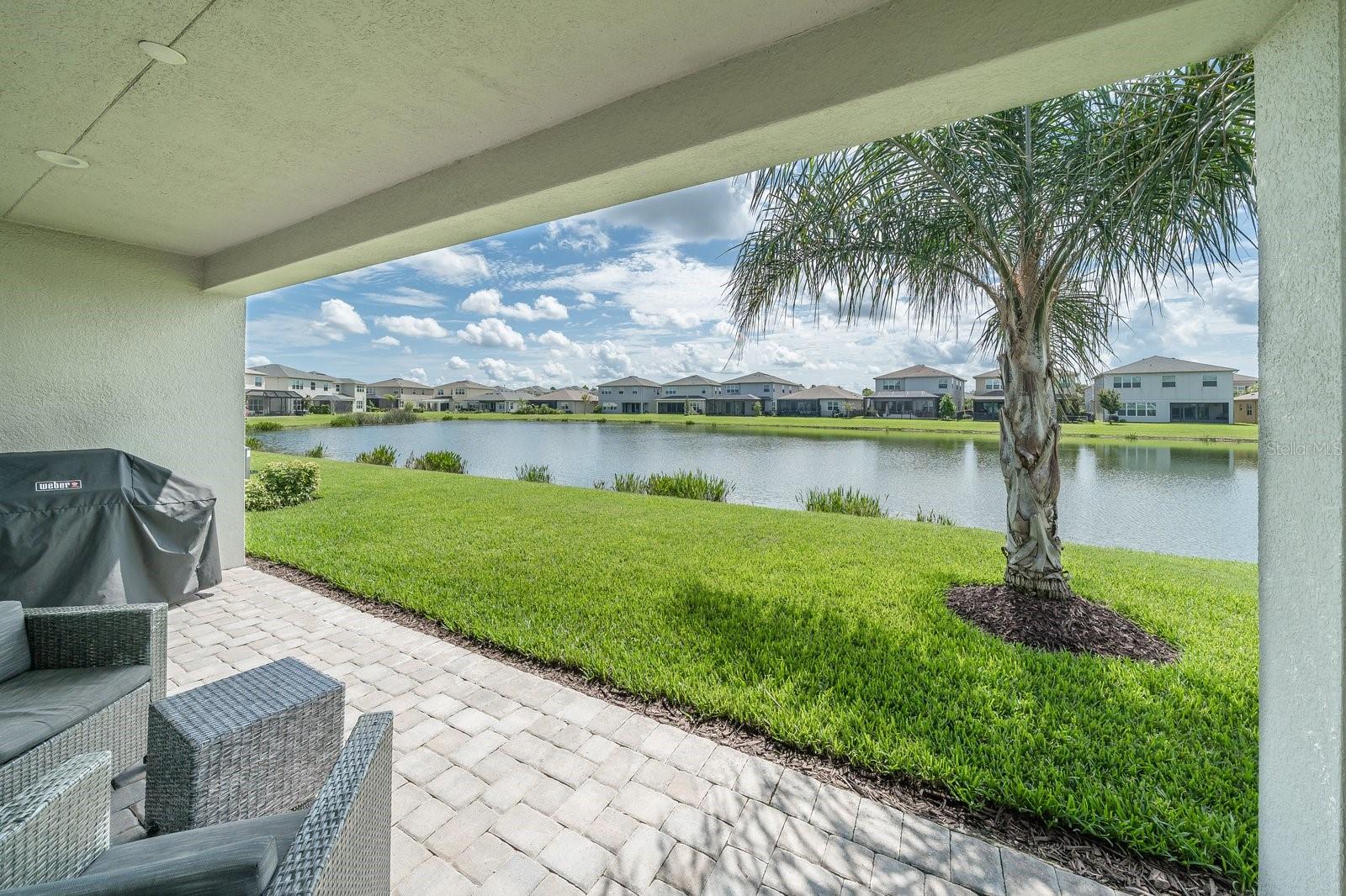 3290 GREAT BANYAN WAY