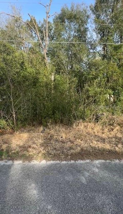 TBD SE 91 COURT SUMMERFIELD FL 34491