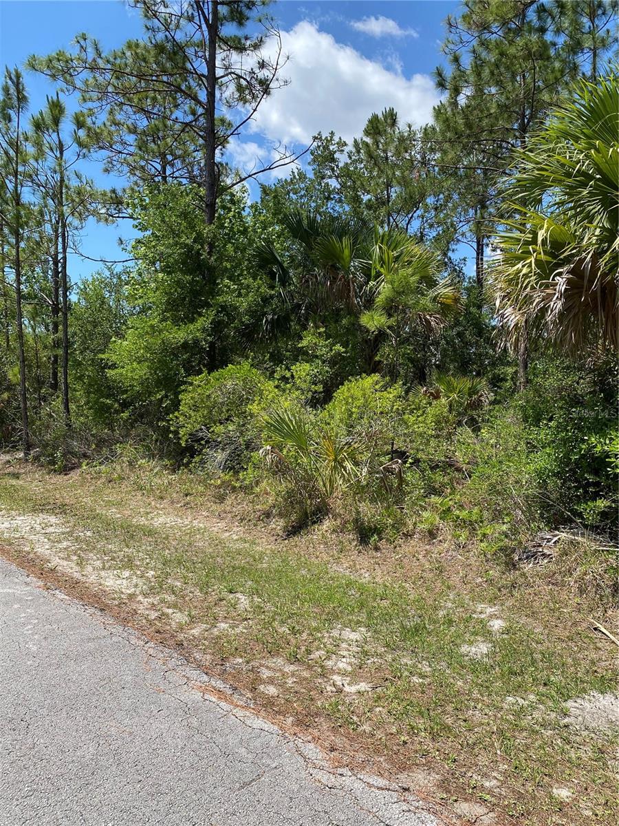 Location, location, location! Build your dream home in this established neighborhood in the heart of Palm Coast. Conveniently located close to shopping, schools, new state-of-the-art recreation center and so much more! Only a short drive to the beach. No timeline requirement to build and no HOA - this property provides maximum flexibility for your future home! Adjacent lot is also available for sale if you are dreaming of a larger space to create your sanctuary. Palm Coast is located between St Augustine and Daytona Beach providing many opportunities and conveniences for life, work and play.