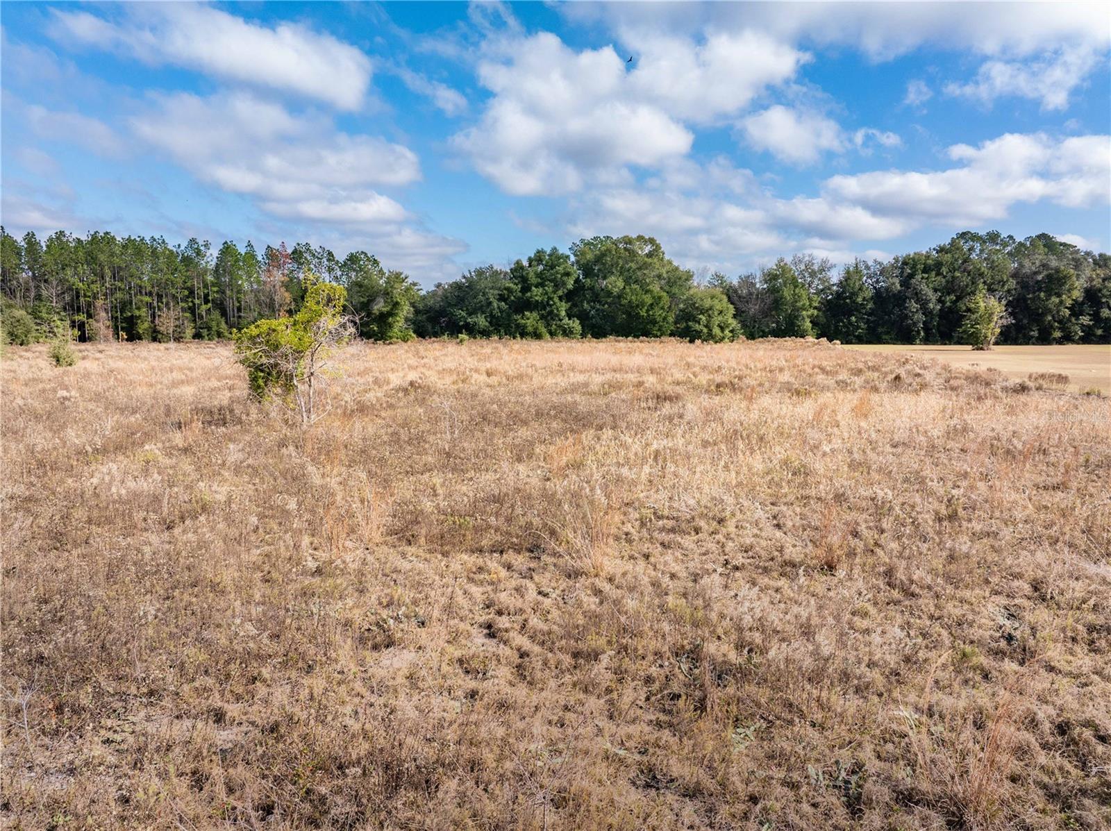 HILLS OF HUNTSVILLE - Residential