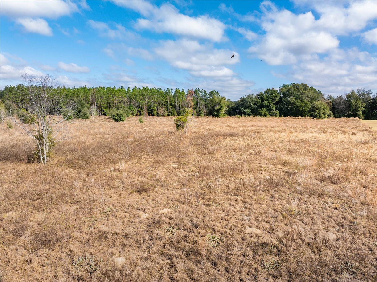 HILLS OF HUNTSVILLE - Residential