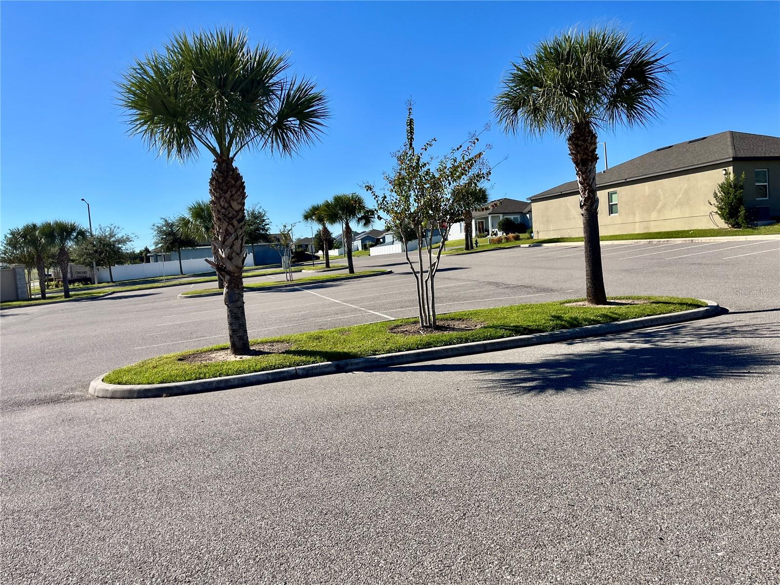 ORCHID GROVE - Residential Lease