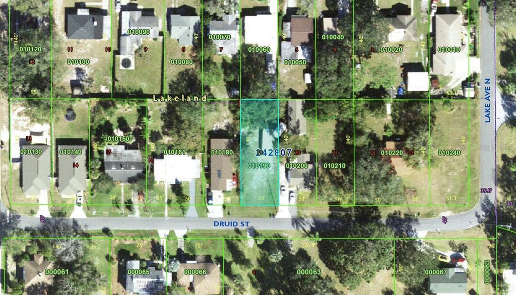 Photo of 730 Druid Street, Lakeland, FL 33805 (MLS # P4934490)