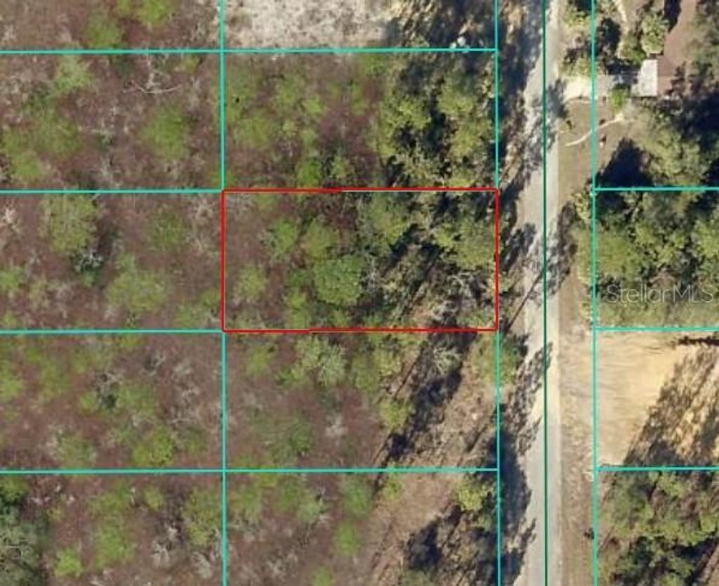 Photo of Tbd NW Narcissus Road, Dunnellon, FL 34431 (MLS # OM714942)