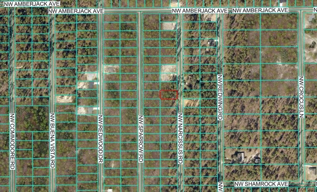 Photo of Tbd NW Narcissus Road, Dunnellon, FL 34431 (MLS # OM714942)