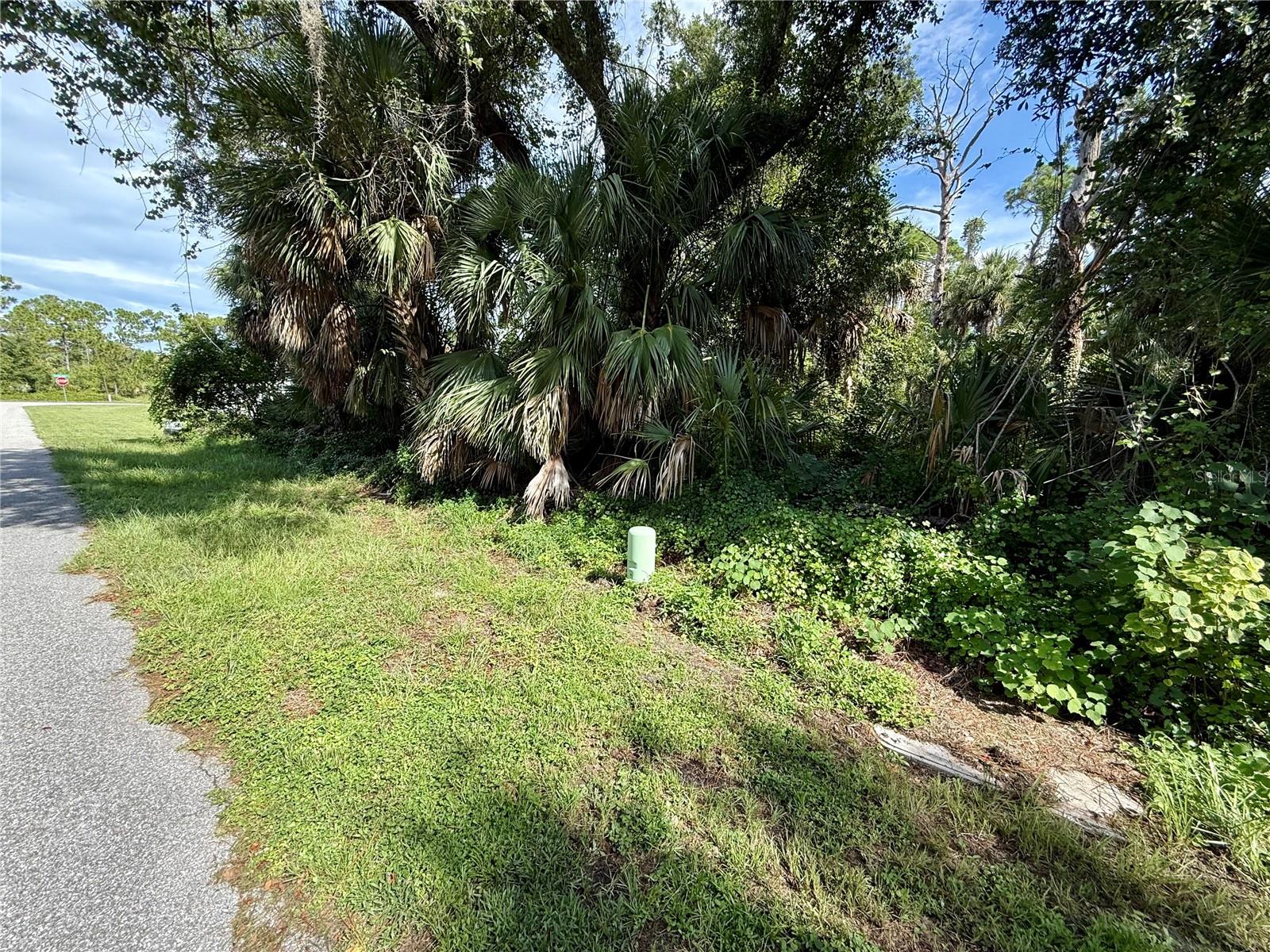 Looking for that perfect piece of land to build your slice of paradise on? Here's a great lot in this up-and-coming area of Port Charlotte! NO flood insurance required, save money and build with confidence!!! Electric at site, and no need to worry about mitigating Scrub Jays as property is NOT located in a habitat. Bring all your toys...store your RV, boat, kayaks, put up a detached garage, shed for an art studio, trampoline, or treehouse, doesn't matter as this is a non-deed restricted area of Charlotte County! And of course, what could be more Florida than having your own pool which the property has plenty of room for! Nice neighborhood, street has new homes with more being built currently, property is close to all amenities including sandy beaches & crystal waters of Venice, Englewood & Boca Grande Beaches, Golf Courses, boat launches, minutes from the Spring training Rays Stadium that hosts 31 games against the Yankees, Red Sox, Braves, Mets & more. Have local builder with floorplans of 3 bedroom 2 bathroom homes with 10’ ceilings, 8’ doors porcelain plank flooring throughout, Quartz/Granite, lighting & fans, appliances, impact windows…all-inclusive pricing starting at $320,000.