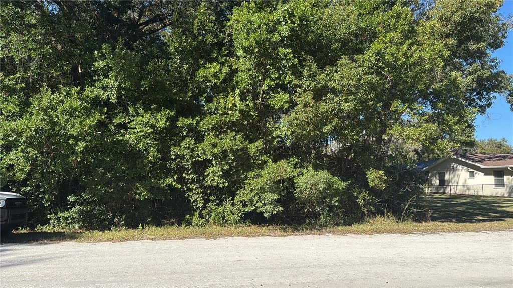 Photo of Monroe Avenue, Brooksville, FL 34604 (MLS # TB8455042)