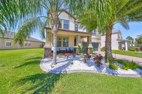 10072 SAGE CREEK DRIVE RUSKIN FL 33573