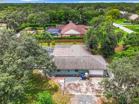 A home in RIVERVIEW