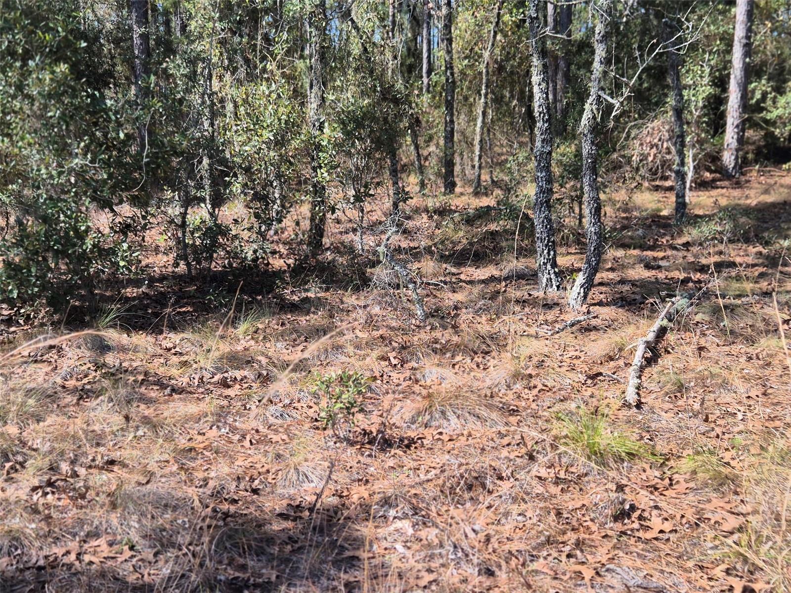 WILLISTON HIGHLANDS UNIT 12 - Land