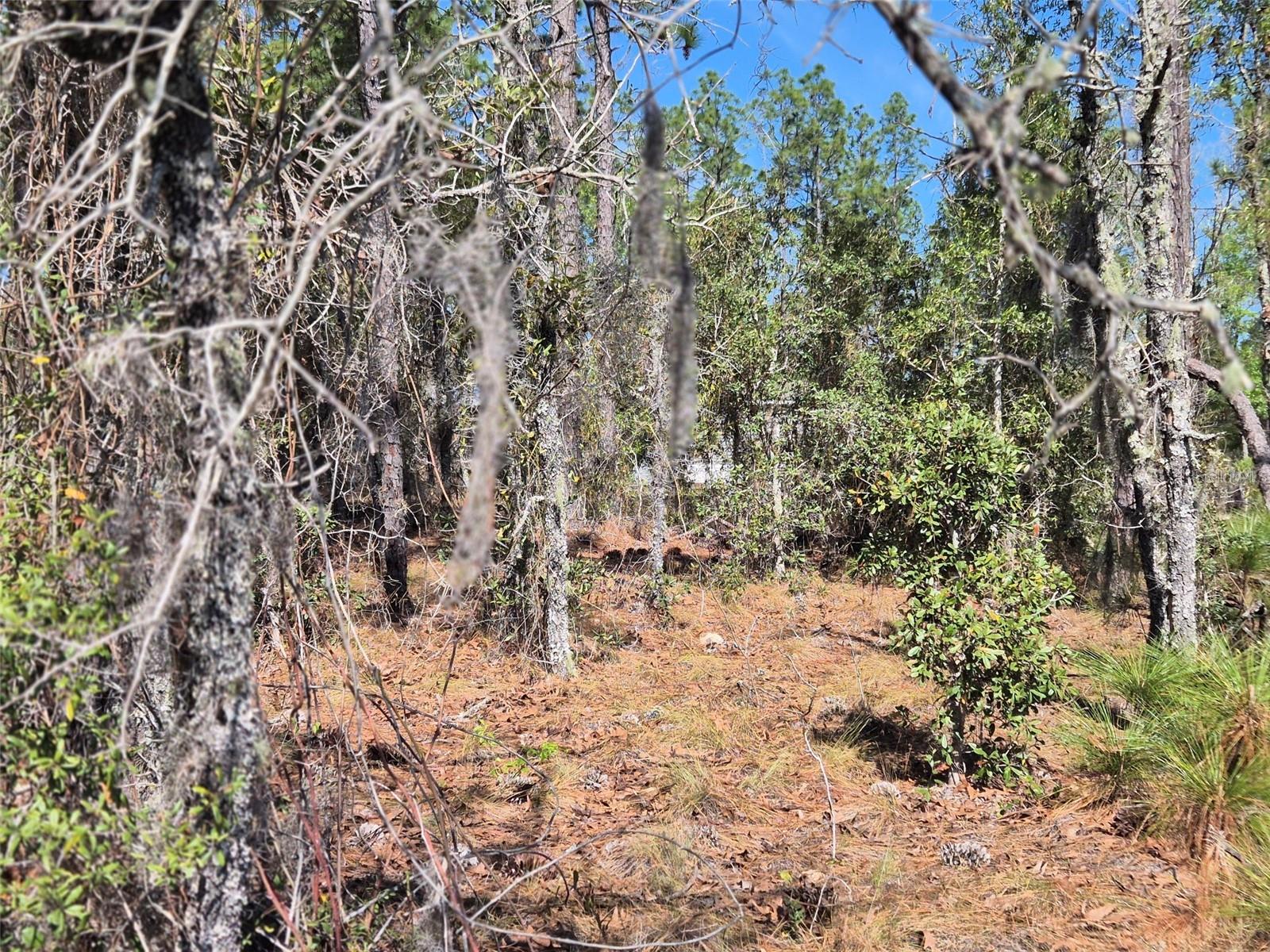 WILLISTON HIGHLANDS UNIT 12 - Land