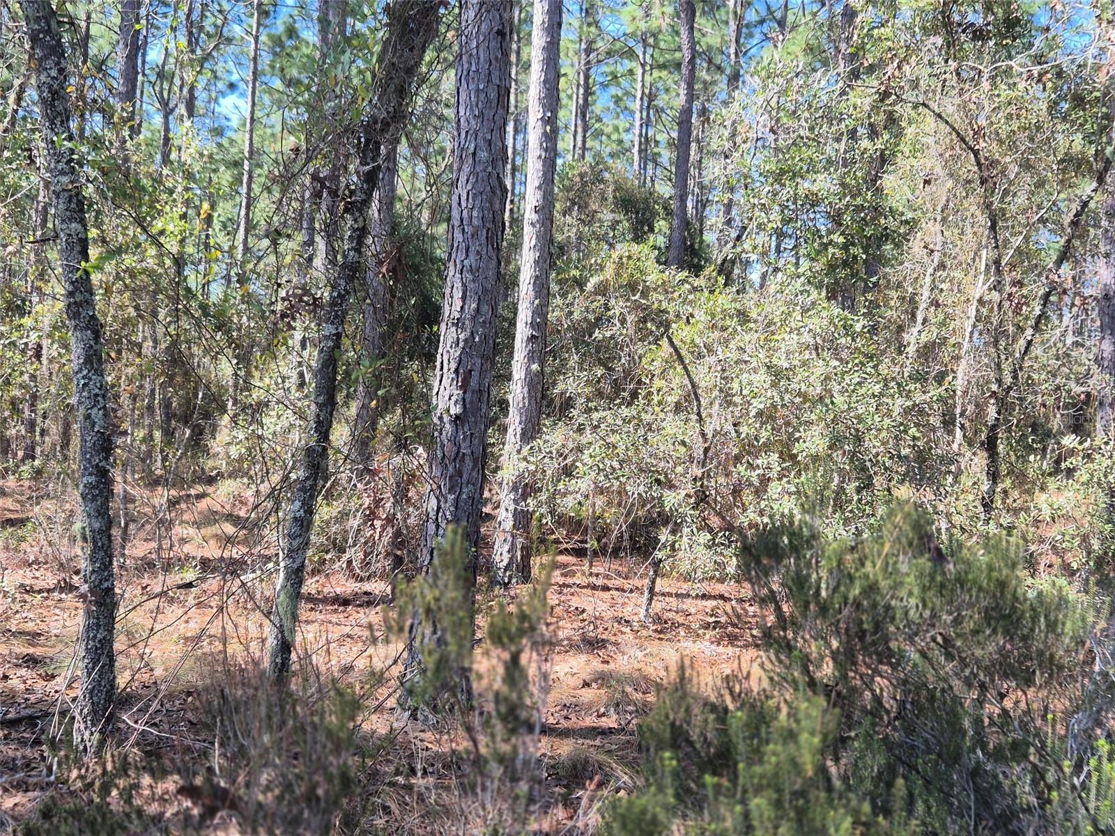 WILLISTON HIGHLANDS UNIT 12 - Land