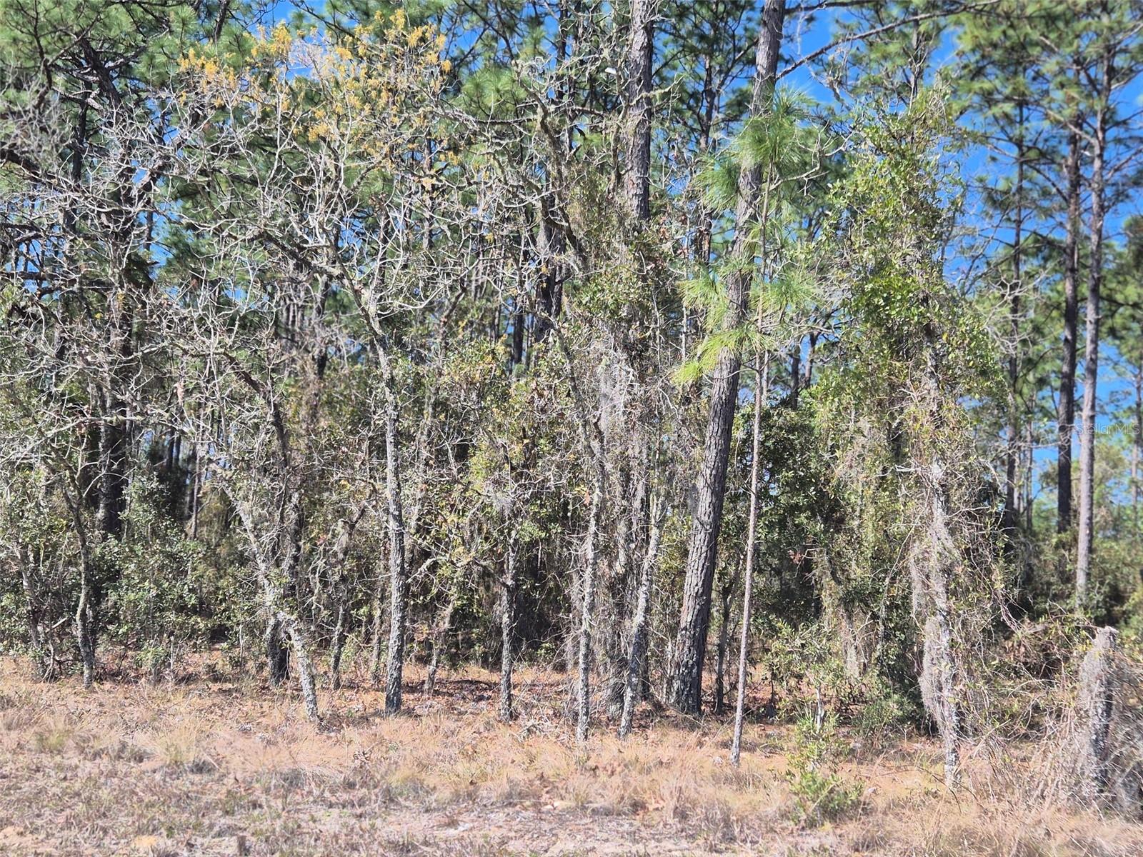 WILLISTON HIGHLANDS UNIT 12 - Land