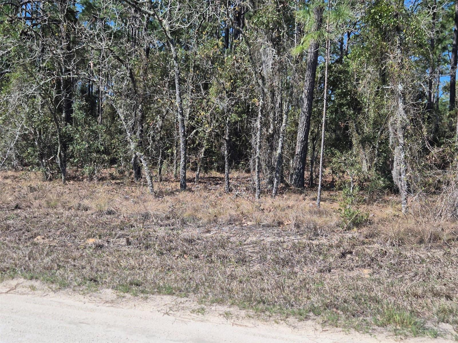 WILLISTON HIGHLANDS UNIT 12 - Land