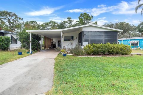 A home in MOUNT DORA