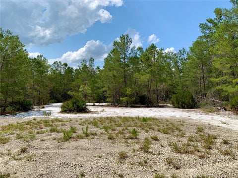 Tiny photo for 39627 Greenbrier Street, Eustis, FL 32736 (MLS # G5116902)