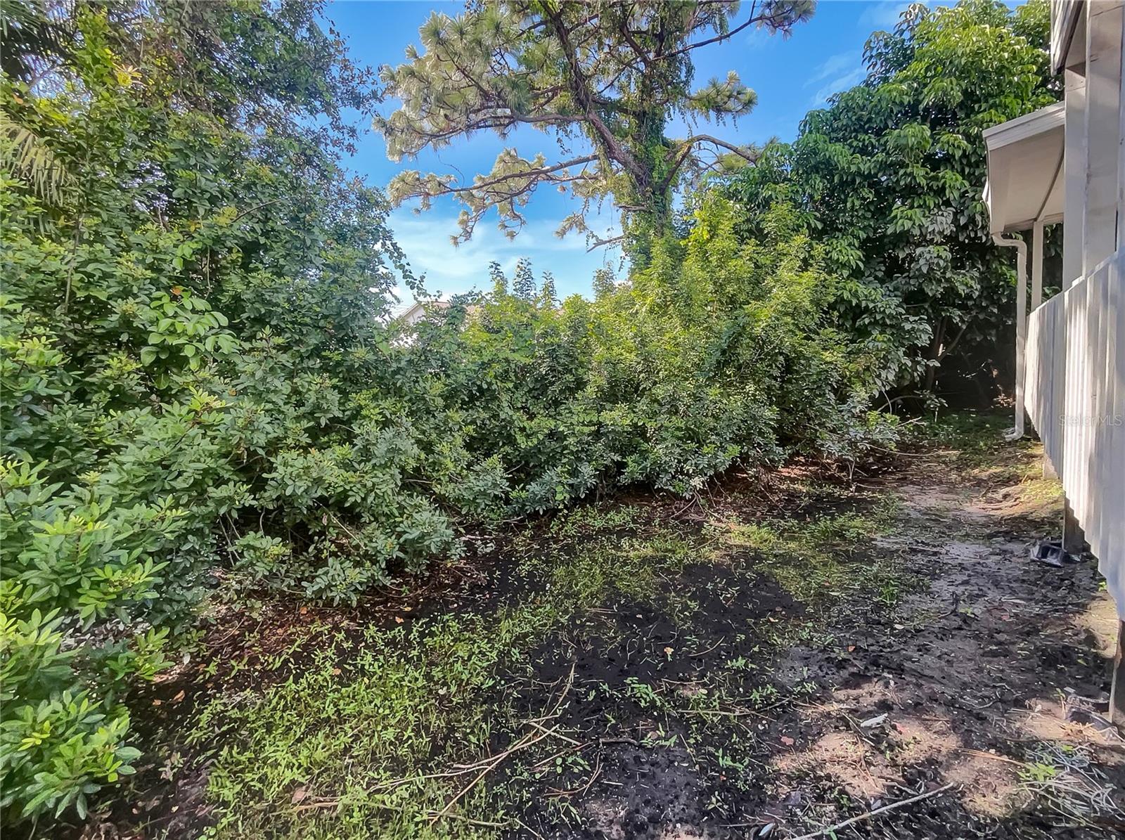 CEDAR GROVE OF 1ST ADD TO - Residential