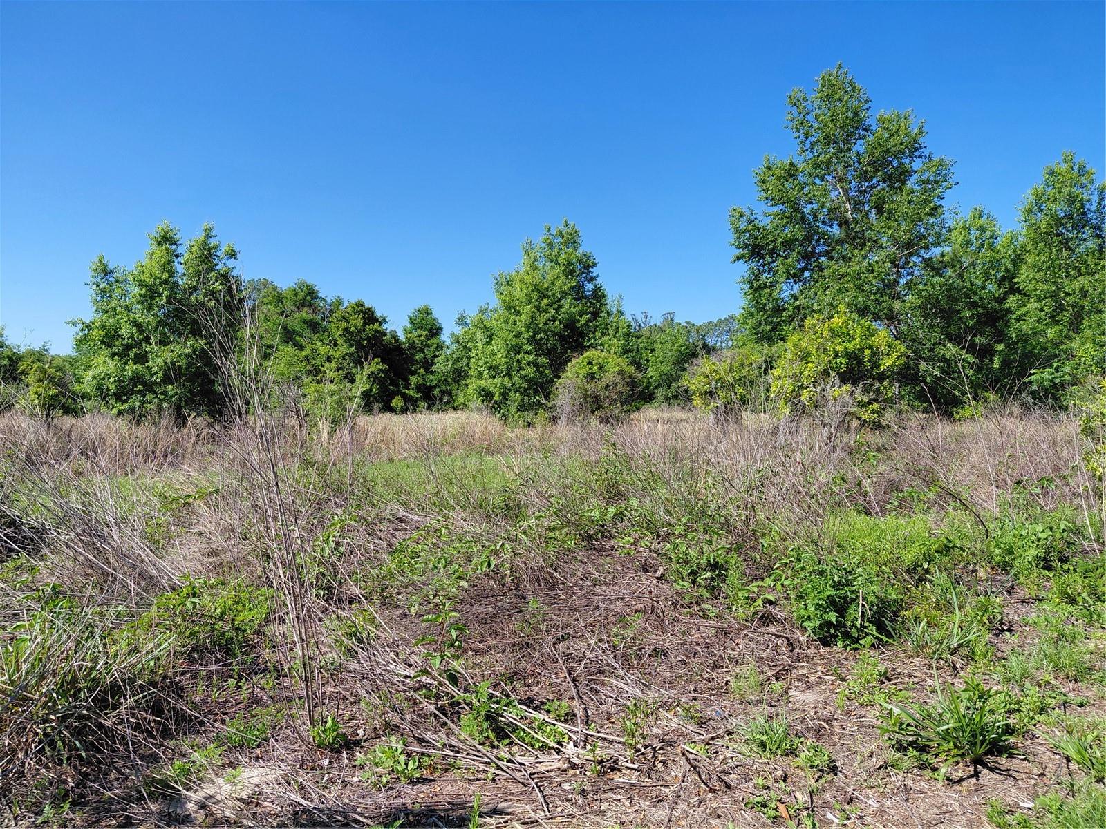 GROVELAND FARMS 05-23-25 - Land