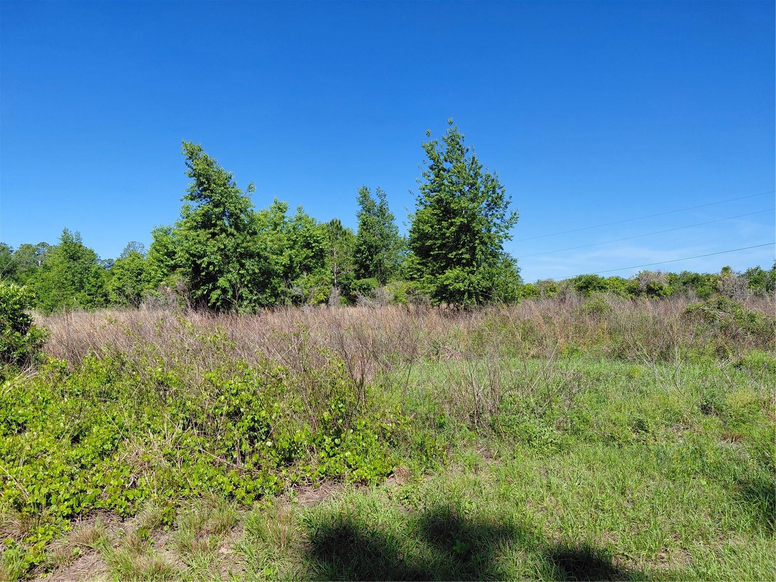 GROVELAND FARMS 05-23-25 - Land