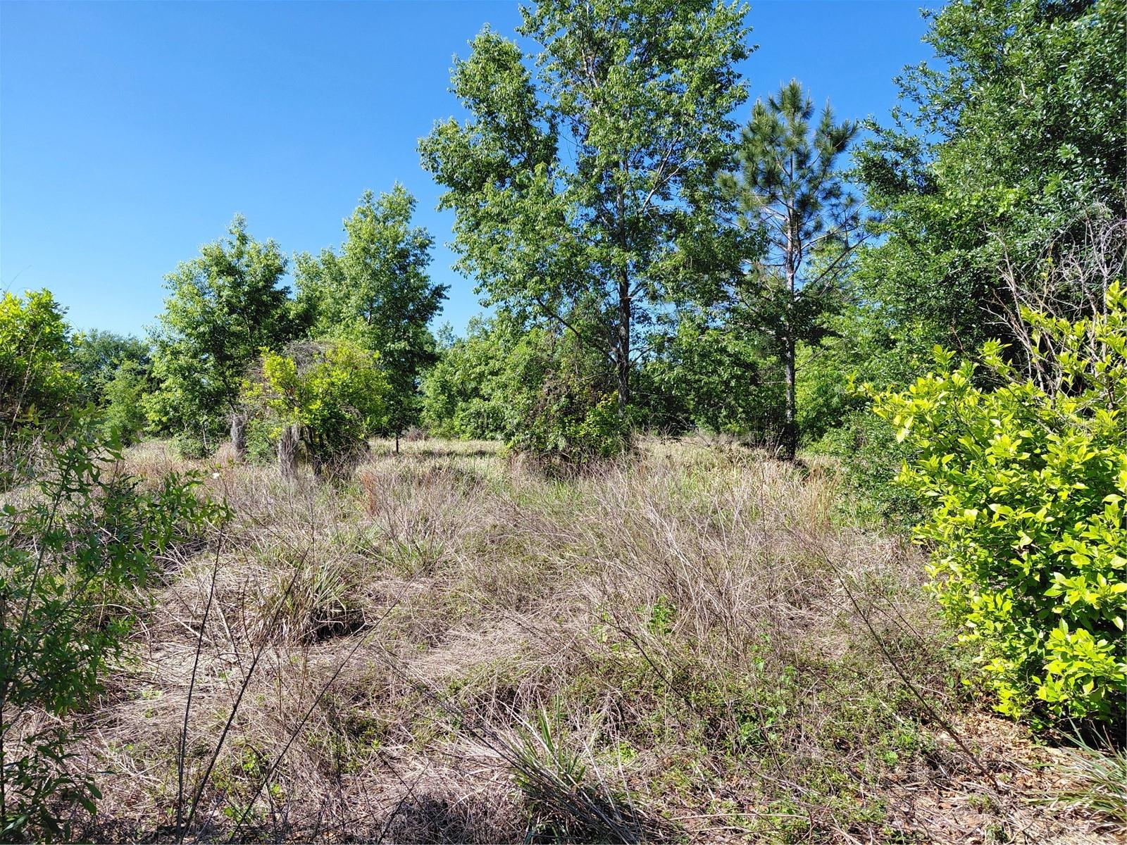 GROVELAND FARMS 05-23-25 - Land