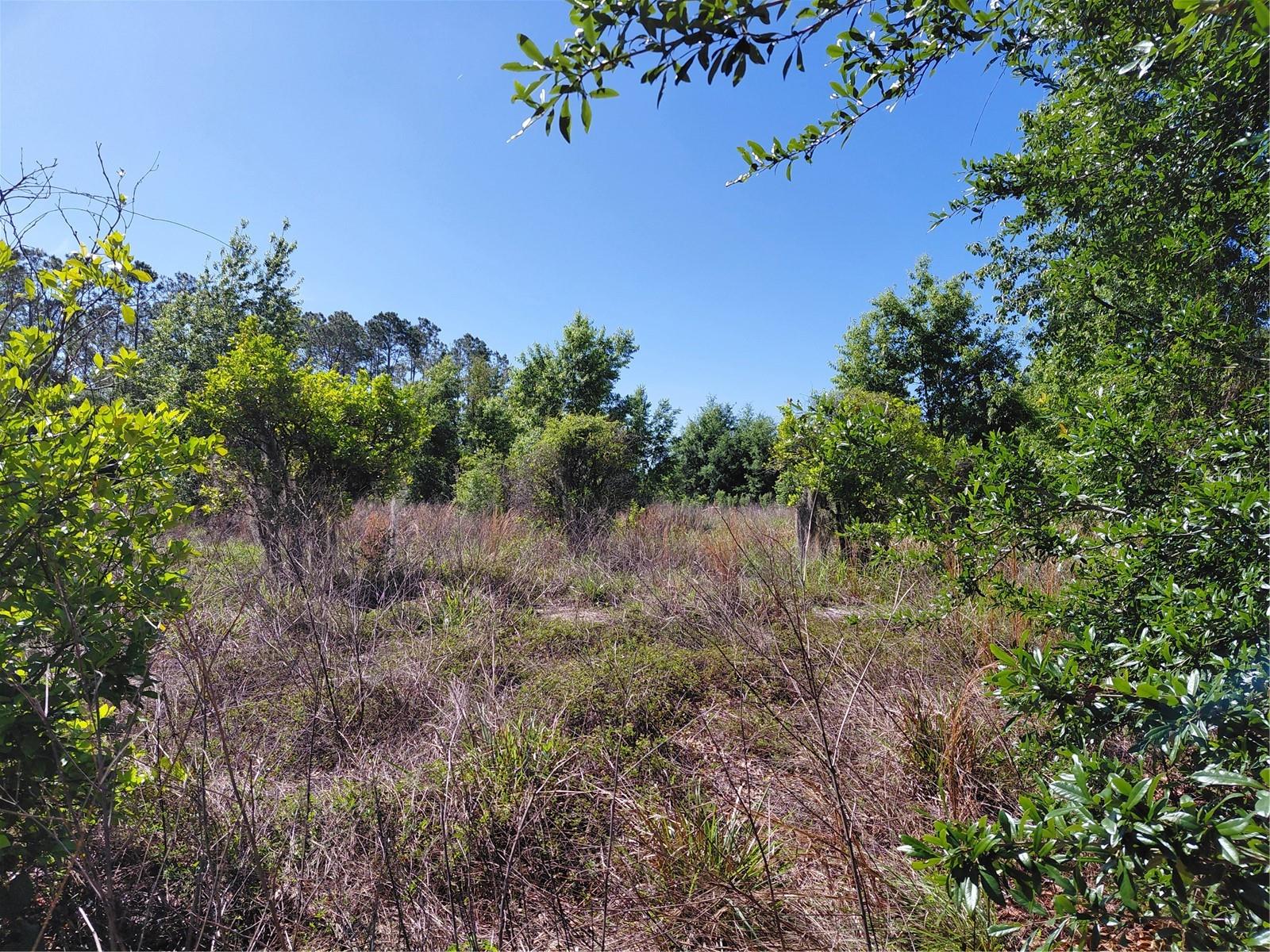 GROVELAND FARMS 05-23-25 - Land